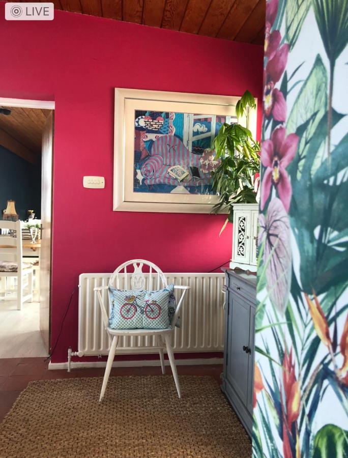 לארן Ballygally Seaview Cottage מראה חיצוני תמונה