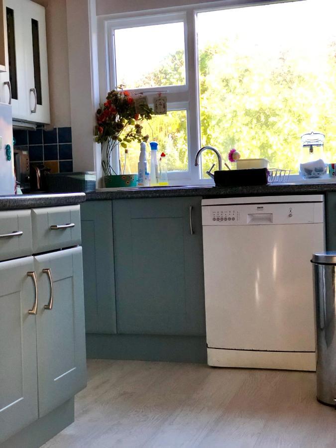 לארן Ballygally Seaview Cottage מראה חיצוני תמונה